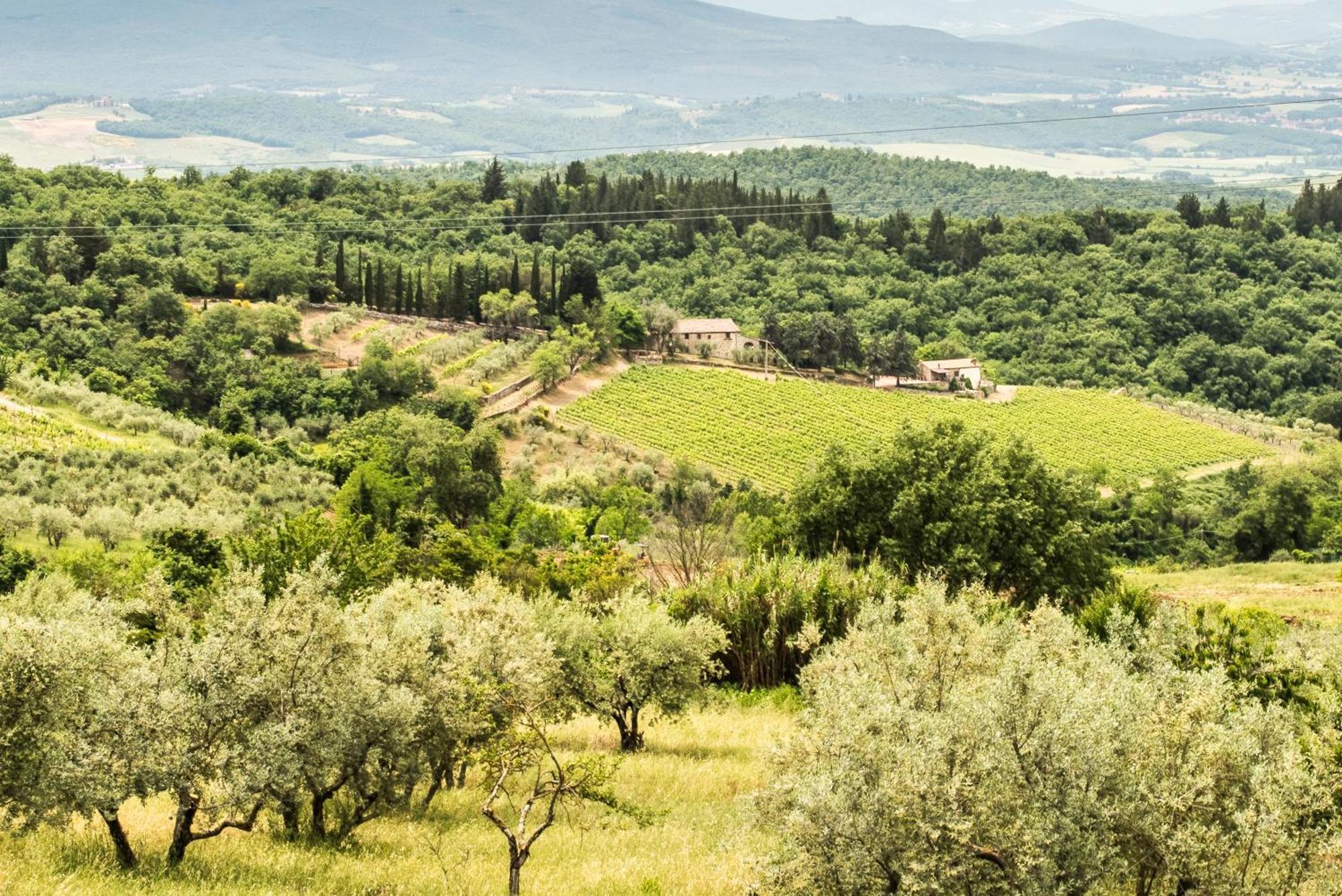 Cottage San Bartolomeo カステッリーナ・イン・キアンティ シエナ エクステリア 写真